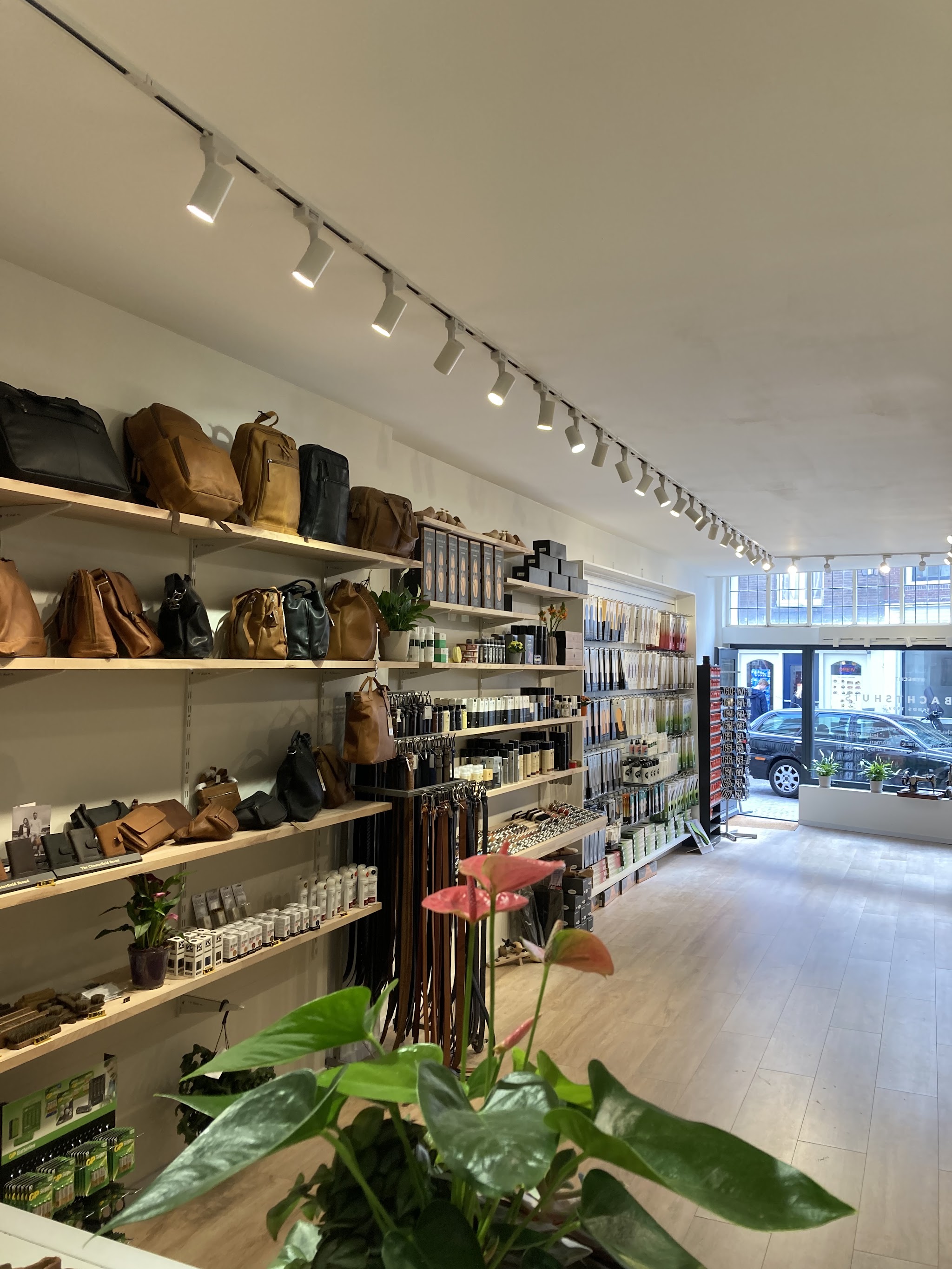 De lichte winkel met houten planken vol tassen en schoenverzorging, en een plant op de toonbank
